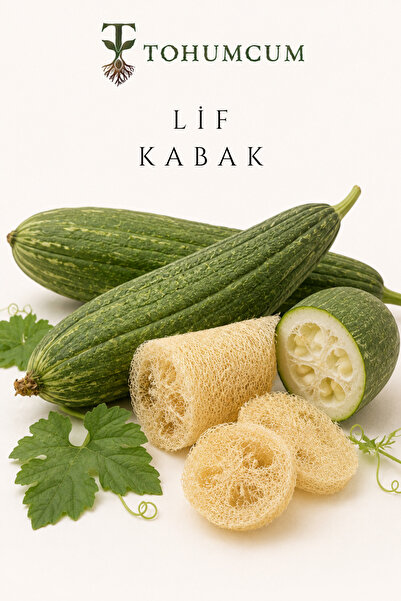 TOHUMCUM Doğal Lif Kabağı Tohumu (5 ad) | Lif Kabak Tohumu | Ata Tohum