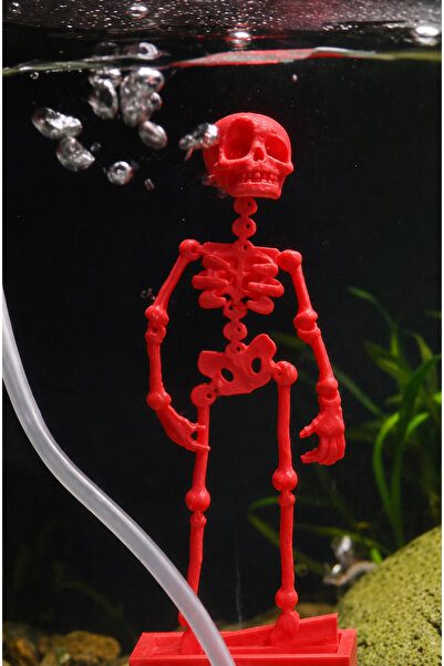 CNCMAN3D Akvaryum Dans eden İskelet