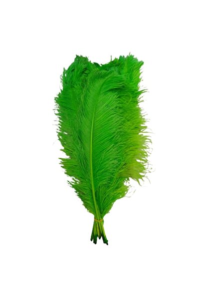 OEM Set de 3 pene de struț, lungi de 60 cm, culoare verde, lățime 20-25 cm
