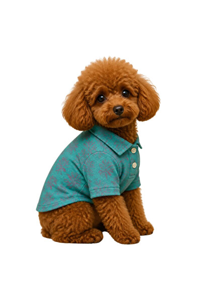 GedyCo Köpek Gömleği
