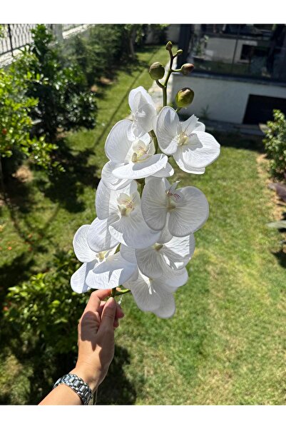 NC Home Design Yapay Islak Beyaz Orkide 100 Cm 1. Kalite