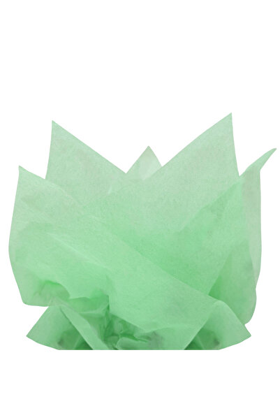 Papette Top Bottom Set of 200 pieces Silk paper 17g MINT GREEN - 50 x 75cm