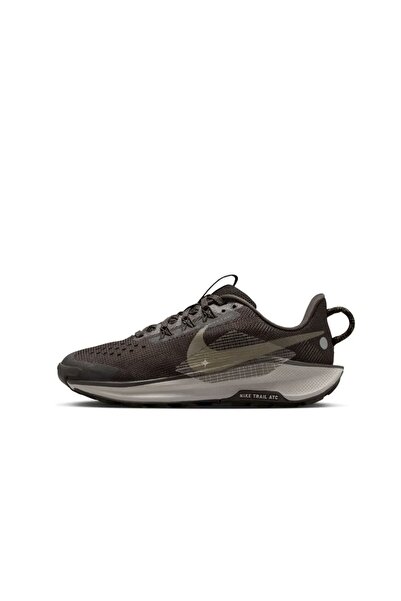 Nike Pegasus Trail 5 Koşu Ayakkabısı Spormoon