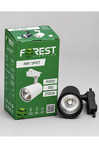 Forest RAY SPOT