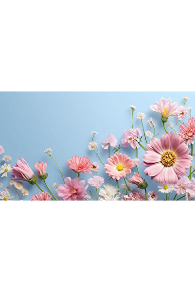 Bloom & Sow Seed بذور زهور برية مختلطة بلون وردي ناعم، أزهار متعددة الألوان ا...