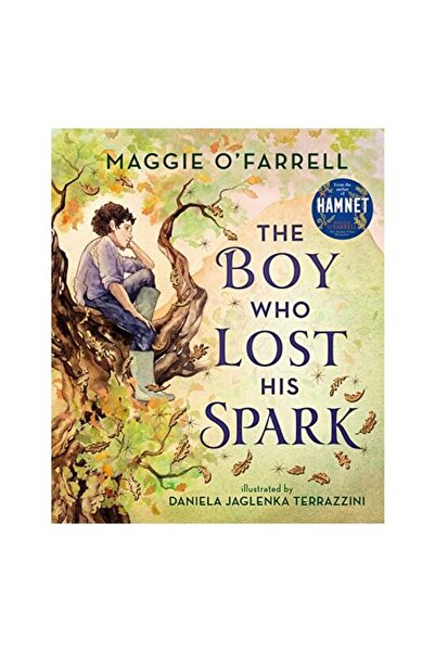Generic (Unbranded) Boy Who Lost His Spark