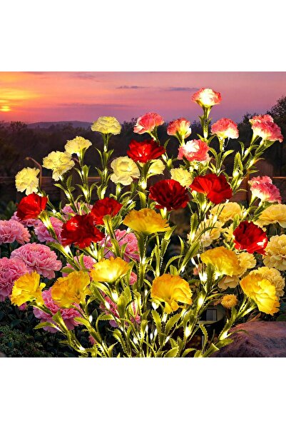 STARSTAR 4-Pack Outdoor Solar Carnation Flower Lights, Waterproof Garden Stak...