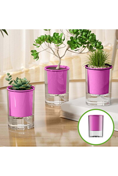 STARSTAR Self-watering flower pots, 1-pack, with a water reservoir, transpare...