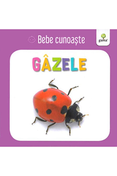Gama Gazele - Bebe cunoaste