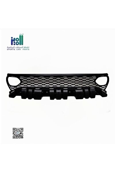 Generic Brand شبك دودج شارجر 2015-23 هيلكات
