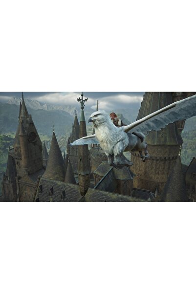 Warner Bros Moștenirea Hogwarts – Hogwarts Legacy pentru Nintendo Switch, edi...