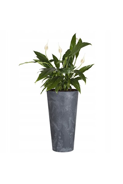 Prosperplast Ghiveci Tubular Subțire cu Efect de Beton 30 cm x 57 cm, cu inse...