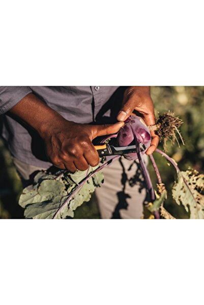 FiSKARS Cuțit pliabil X-series K80