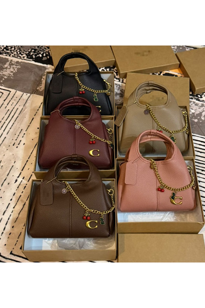 Luisido Beautiful women's bag in different colors