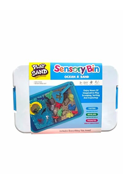 Play Sand Sensory Bin Ocean & Sand