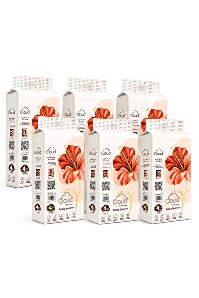 CLOUD 6 Packs of Wall Hanging Tissues 4Ply Contains 1200 Tissues Each