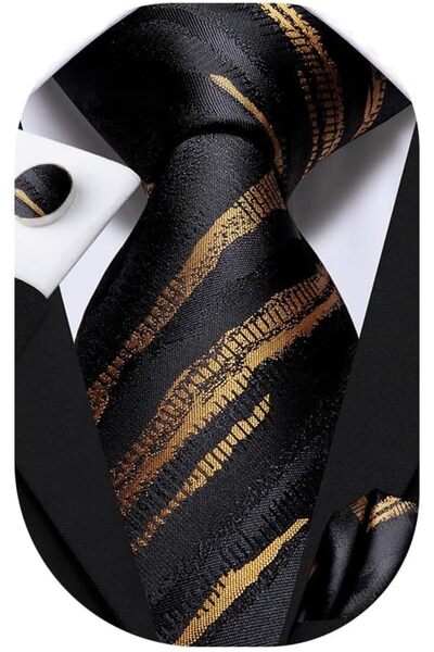 Dubulle Mens Paisely Silk Tie for Men Necktie and Pocket Square Set