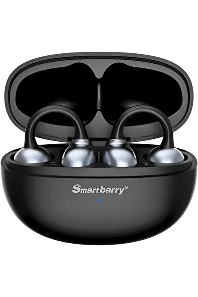 SMART BARRY H66 True Wireless Stereo Earbuds, Bluetooth, Touch Control, High ...