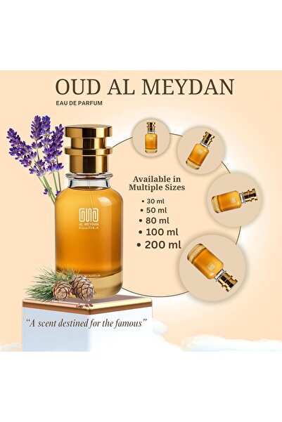 OUD AL MEYDAN Oil-Based Perfume for Men – Inspired by One Millioen Royal – Alcohol-Free Woody Aromatic Men’s Fragrance – Bergamot, Lavender & Cedarwood – 10+ Hr Long-Lasting Evening Scent (30 ML)
