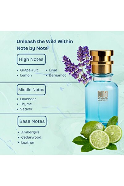OUD AL MEYDAN ’s Creation Oil Based Perfume for Men – Inspired by Elyziome Pour Homme – Long-Lasting Citrus, Woody & Musky Fragrance, Perfect for Fresh Spring & Summer Wear (30 ML)