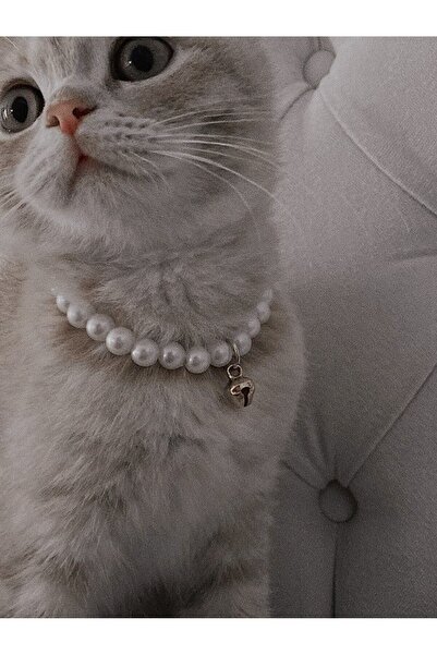 Kedi ve Küçük Köpekler için Zarif İnci Kolye