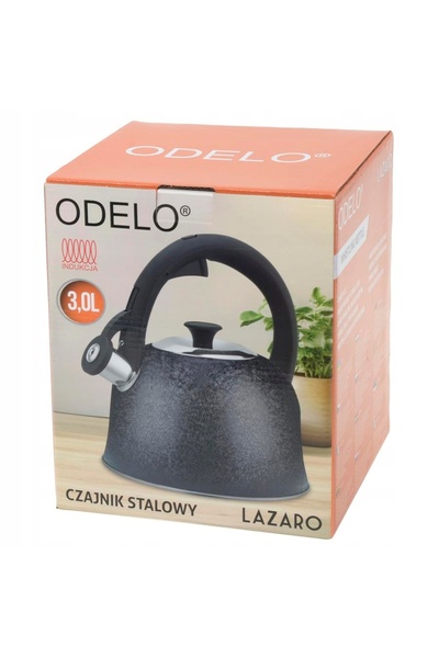 NO BRAND Odelo Lazaro 3,0 L ibric din oțel negru cu fluier - pentru inducție ...