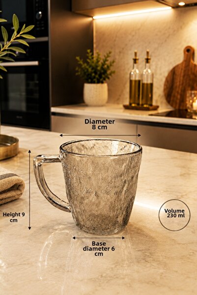 iselahome Velmora Frosted Glass Mug 230 ml Coffee Tea Cup with Handle