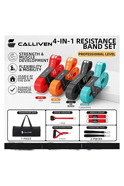 Calliven Premium Resistance Band Set of 4 - Fitness Band with Door Anchor, Ha...