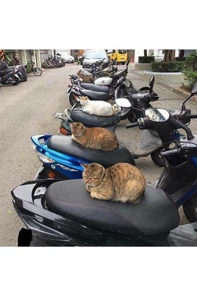 ebakbak Pcx Nmax Sym Etc - Universal Scooter Motorcycle Black Saddle Cover Engine Seat Tarpaulin