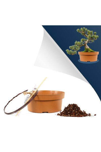 Bonsai Seika Bonsai Kurtarma ve Saksı Değişimi Kiti No.2 - Kahverengi
