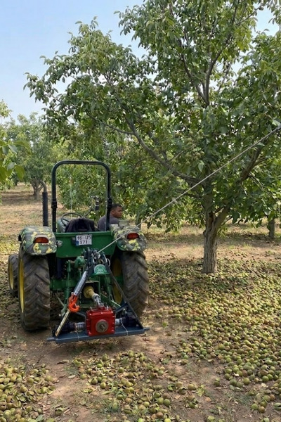 BURKON MAKINE Burkon Pistonlu Ceviz Silkeleme Makinası