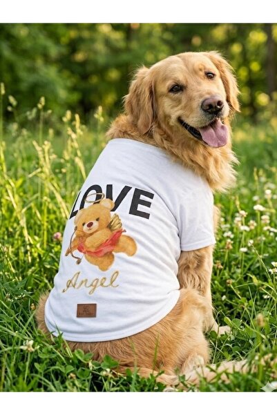 Peti Tailor Köpek Tişörtü Kollu Beyaz Love Ayıcıklı Baskılı İnce Yazlık Kedi ...