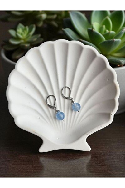 Home Aquamarine Tasi Steel Earrings