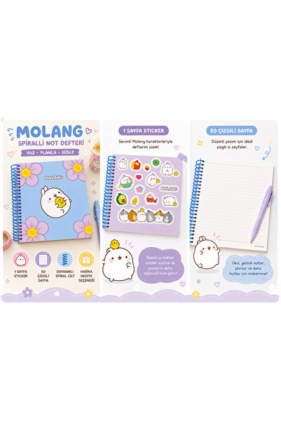 ASIAN Molang Spiralli Stickerli Not Defteri