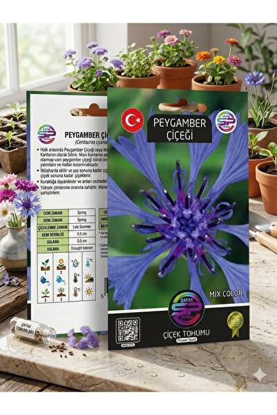 ŞAFAK PEYZAJ TOHUMCULUK Peygamber Çiçeği Tohumu (Mavi Kantaron)