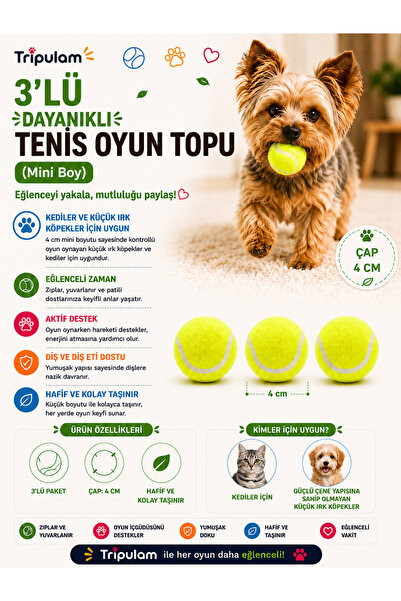 TRİPULAM 3’lü Mini Tenis Topu Seti – Kediler ve Güçlü Çene Yapısına Sahip Olm...