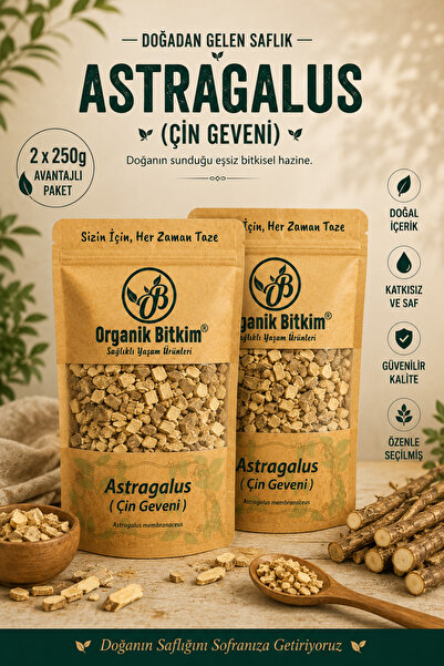OB Organik Bitkim Astragalus (Çin Geveni) 2 x 250 gr