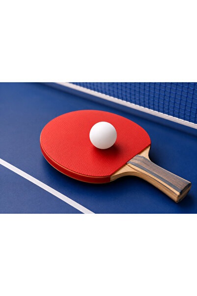 Zenorius Mingi de Ping Pong 40 mm, Set pentru Antrenament și Joc, Ușoare și R...