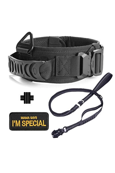 Choice DUTYCOLLAR--BLACK--S Classic Adjustable Dog Collar, Reflective Trainin...