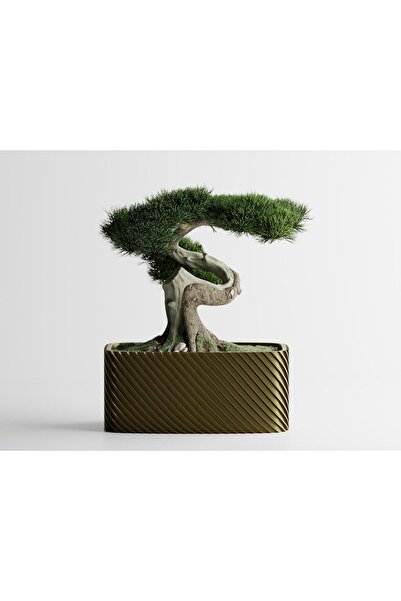 Sani Ghiveci decorativ Sani, Bonsai, mic 164 x 64 x 50 mm, Bronz