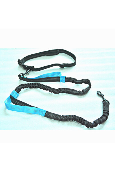 Choice Blue Double Elastic Reflective Running Leash Portable Retractable Dog ...