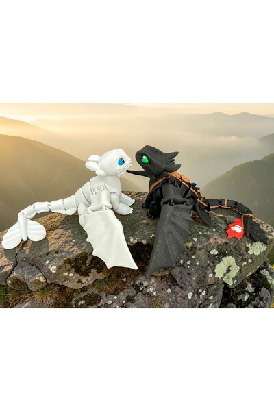 3D Dükkanı Dişsiz Toothless Ve Işığın Öfkesi Ejderhanı Nasıl Eğitirsin Özel Ü...