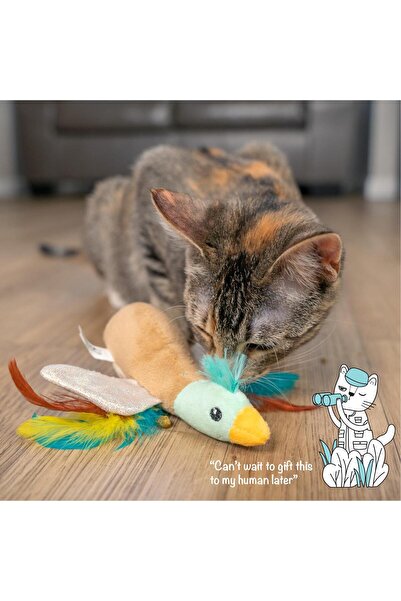 PetStages لعبة القطط فلابيرز داك برين - 70956M