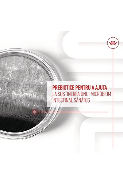 Royal Canin Digestion Chews Suplimente pentru susținerea digestivă pentru câini adulți 160 g