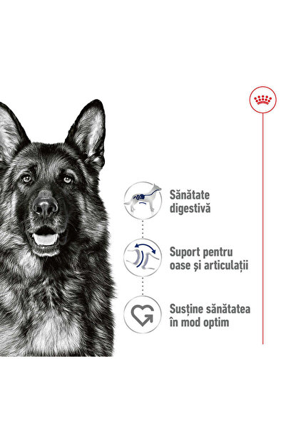 Royal Canin Hrană umedă pentru câini adulți Maxi în sos, 10 x 140 g plicuri