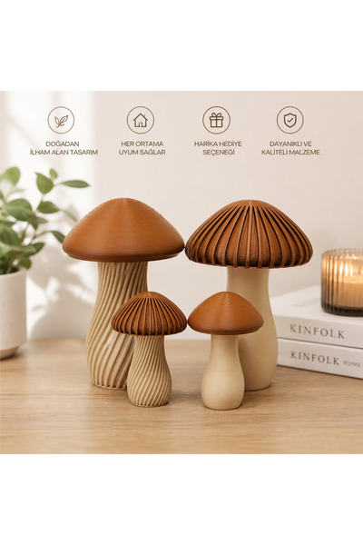 Linia Home Modern Dekoratif Mantar Biblo Seti 4’lü