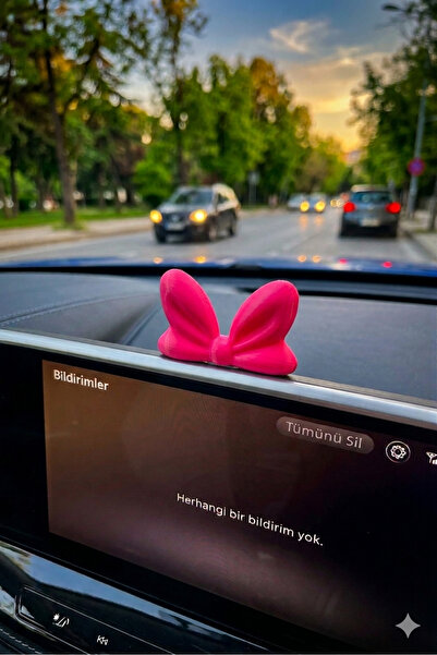 DOĞUDAN YÖRESEL Pembe Fiyonk Torpido Süsü Araba Süsü - Araç İçi Aksesuar Deko...