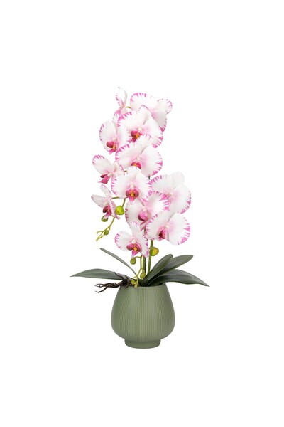 Naimeed Company -looking orchid in a ceramic pot, 80 cm, Naimeed D6904, Pink/...