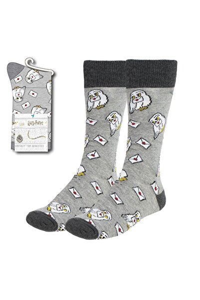 Cerda Harry Potter Socks Hedwig with Letter 38-45