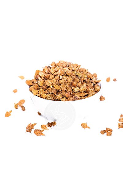 Kottakkal جوكهرو / غانغورو / تريبولوس تيريستريس - 100 جرام